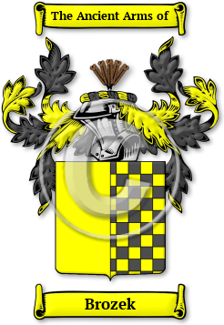 Brozek Family Crest Download (jpg) Legacy Series - 150 DPI