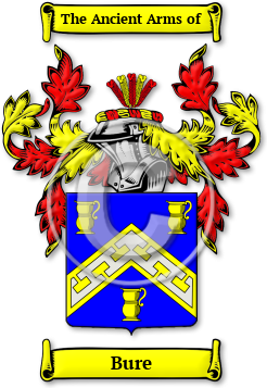 Bure Family Crest Download (jpg) Legacy Series - 150 DPI