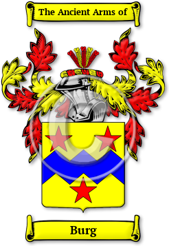 Burg Family Crest Download (jpg) Legacy Series - 150 DPI