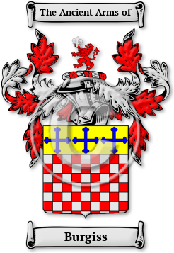 Burgiss Family Crest Download (jpg) Legacy Series - 150 DPI