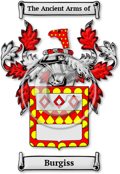 Burgiss Family Crest Download (jpg) Legacy Series - 150 DPI