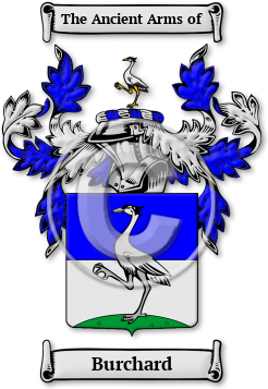Burchard Family Crest Download (jpg) Legacy Series - 150 DPI