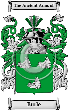 Burle Family Crest/Coat of Arms