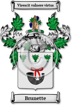 Brunette Family Crest Download (jpg) Legacy Series - 150 DPI