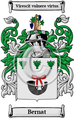 Bernat Family Crest/Coat of Arms