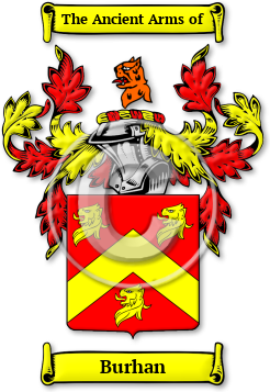 Burhan Family Crest Download (jpg) Legacy Series - 150 DPI