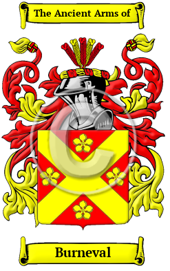 Burneval Family Crest/Coat of Arms