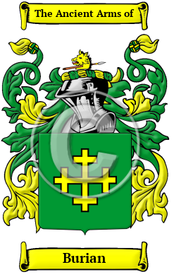 Burian Name Meaning, Family History, Family Crest & Coats of Arms, Irish
