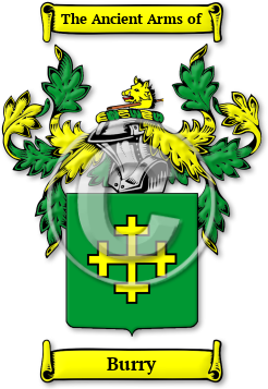 Burry Family Crest Download (jpg) Legacy Series - 150 DPI