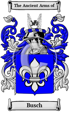 Busch Family Crest/Coat of Arms