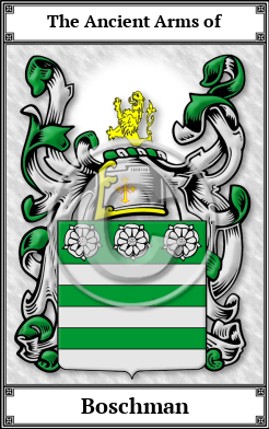 Boschman Family Crest Download (JPG)  Book Plated - 150 DPI