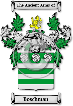 Boschman Family Crest Download (jpg) Legacy Series - 150 DPI