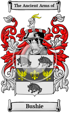 Bushie Family Crest/Coat of Arms