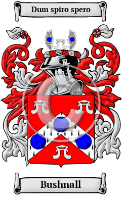 Bushnall Family Crest/Coat of Arms