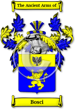 Bosci Family Crest Download (jpg) Legacy Series - 150 DPI