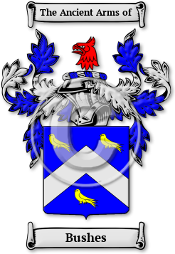 Bushes Family Crest Download (jpg) Legacy Series - 150 DPI
