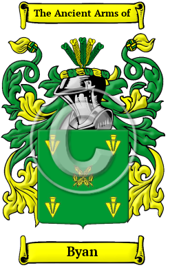 Byan Family Crest/Coat of Arms