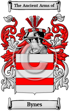 Bynes Family Crest/Coat of Arms
