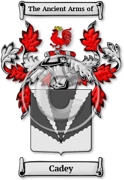 Cadey Family Crest Download (jpg) Legacy Series - 150 DPI