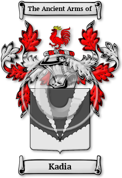 Kadia Family Crest Download (JPG) Legacy Series - 600 DPI