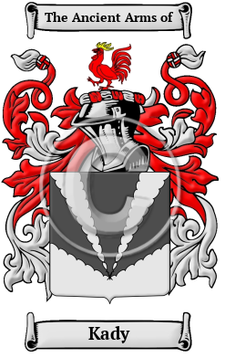 Kady Family Crest Download (JPG) Heritage Series - 600 DPI