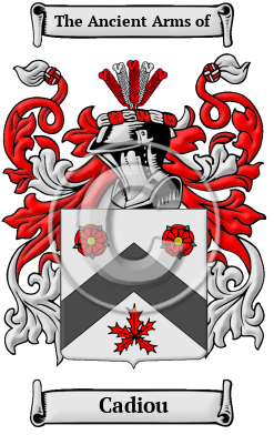 Cadiou Family Crest/Coat of Arms
