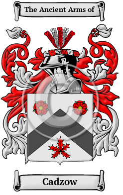 Cadzow Family Crest/Coat of Arms