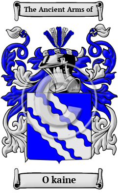 O kaine Family Crest/Coat of Arms