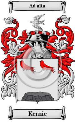 Kernie Family Crest/Coat of Arms