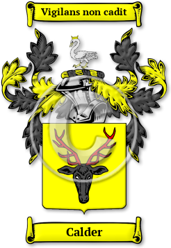 Calder Family Crest Download (jpg) Legacy Series - 150 DPI