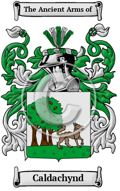 Caldachynd Family Crest/Coat of Arms