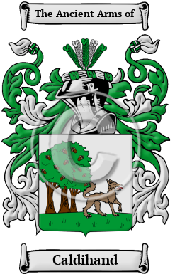 Caldihand Family Crest/Coat of Arms