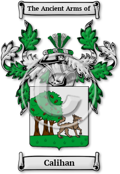 Calihan Family Crest Download (JPG) Legacy Series - 600 DPI