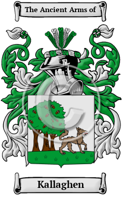 Kallaghen Family Crest/Coat of Arms