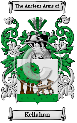 Kellahan Family Crest/Coat of Arms