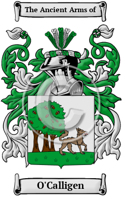 O'Calligen Family Crest/Coat of Arms