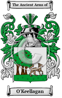 O'Keellagan Family Crest/Coat of Arms