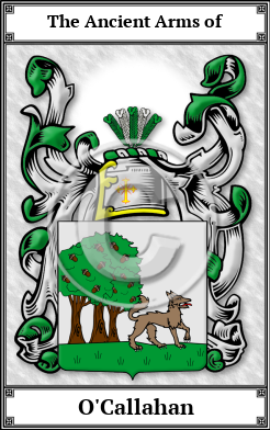 O'Callahan Family Crest Download (JPG)  Book Plated - 150 DPI