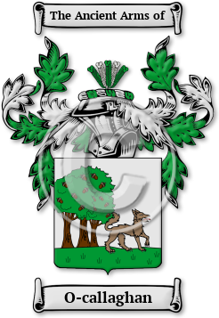 O-callaghan Family Crest Download (jpg) Legacy Series - 150 DPI