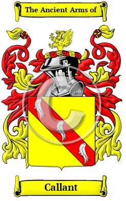 Callant Family Crest/Coat of Arms