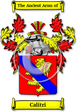 Calitri Family Crest Download (jpg) Legacy Series - 150 DPI