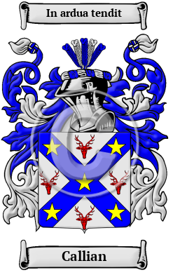 Callian Family Crest/Coat of Arms