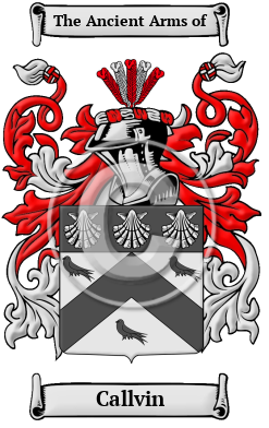 Callvin Family Crest/Coat of Arms
