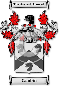 Cambin Family Crest Download (jpg) Legacy Series - 150 DPI