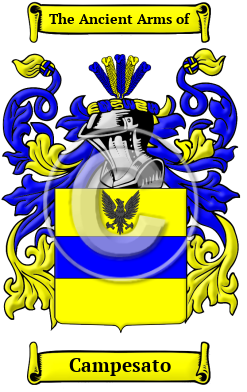 Campesato Family Crest/Coat of Arms
