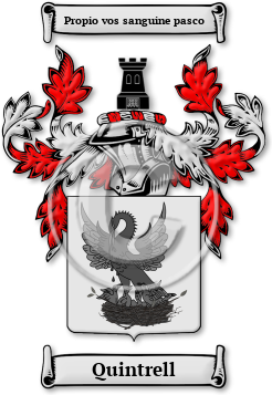 Quintrell Family Crest Download (jpg) Legacy Series - 150 DPI