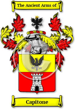 Capitone Family Crest Download (jpg) Legacy Series - 150 DPI