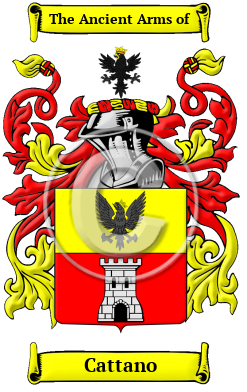 Cattano Family Crest/Coat of Arms