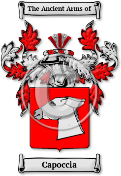 Capoccia Family Crest Download (jpg) Legacy Series - 150 DPI