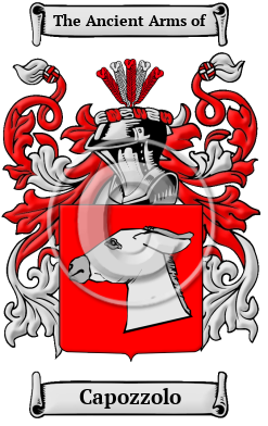 Capozzolo Family Crest/Coat of Arms